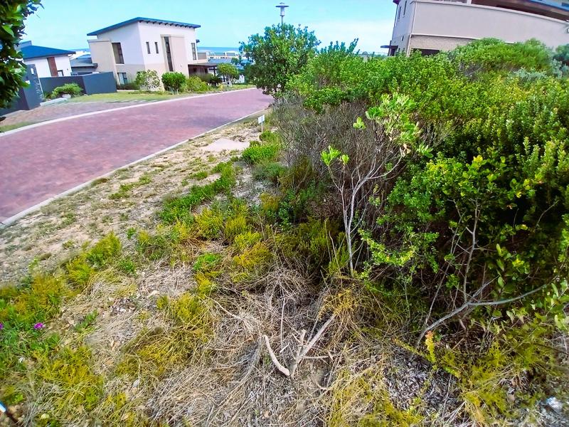 0 Bedroom Property for Sale in Stilbaai East Western Cape